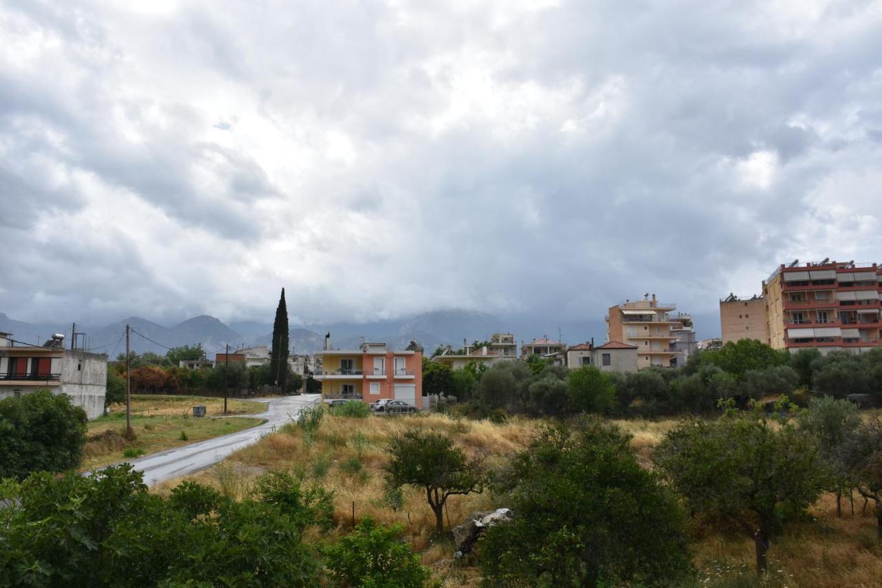 Luxury Sparti Apartment Εξωτερικό φωτογραφία